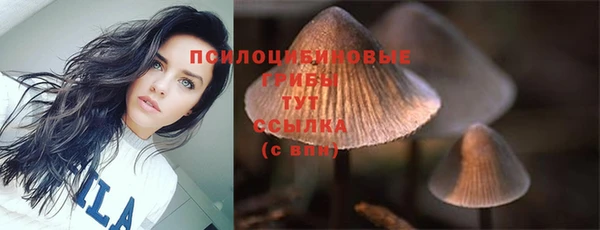 марки nbome Белокуриха