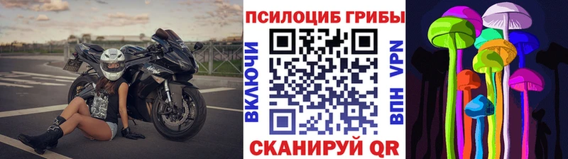 Купить закладки  Уфа  Псилоцибиновые грибы мицелий 