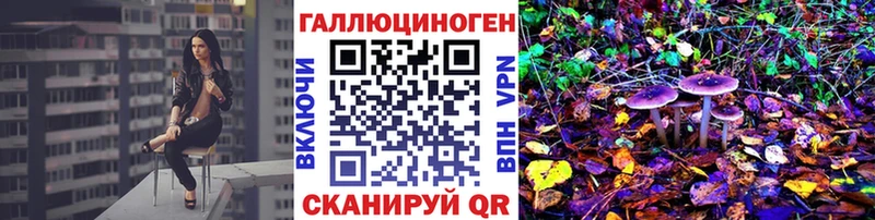 Псилоцибиновые грибы Cubensis Уфа